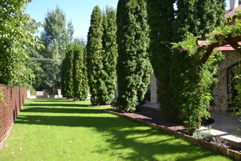 Property Detail