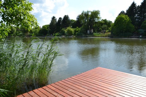 Property Detail