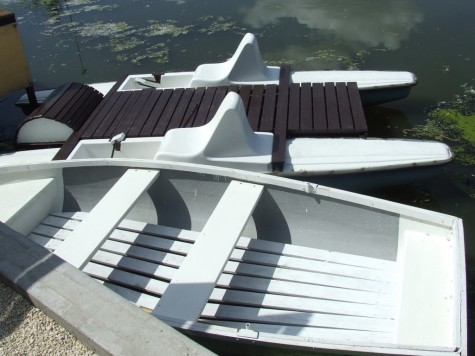 Property Detail