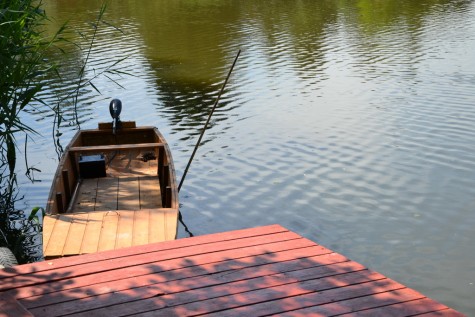Property Detail