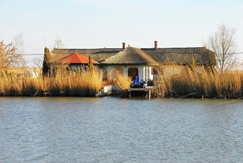 Property Detail